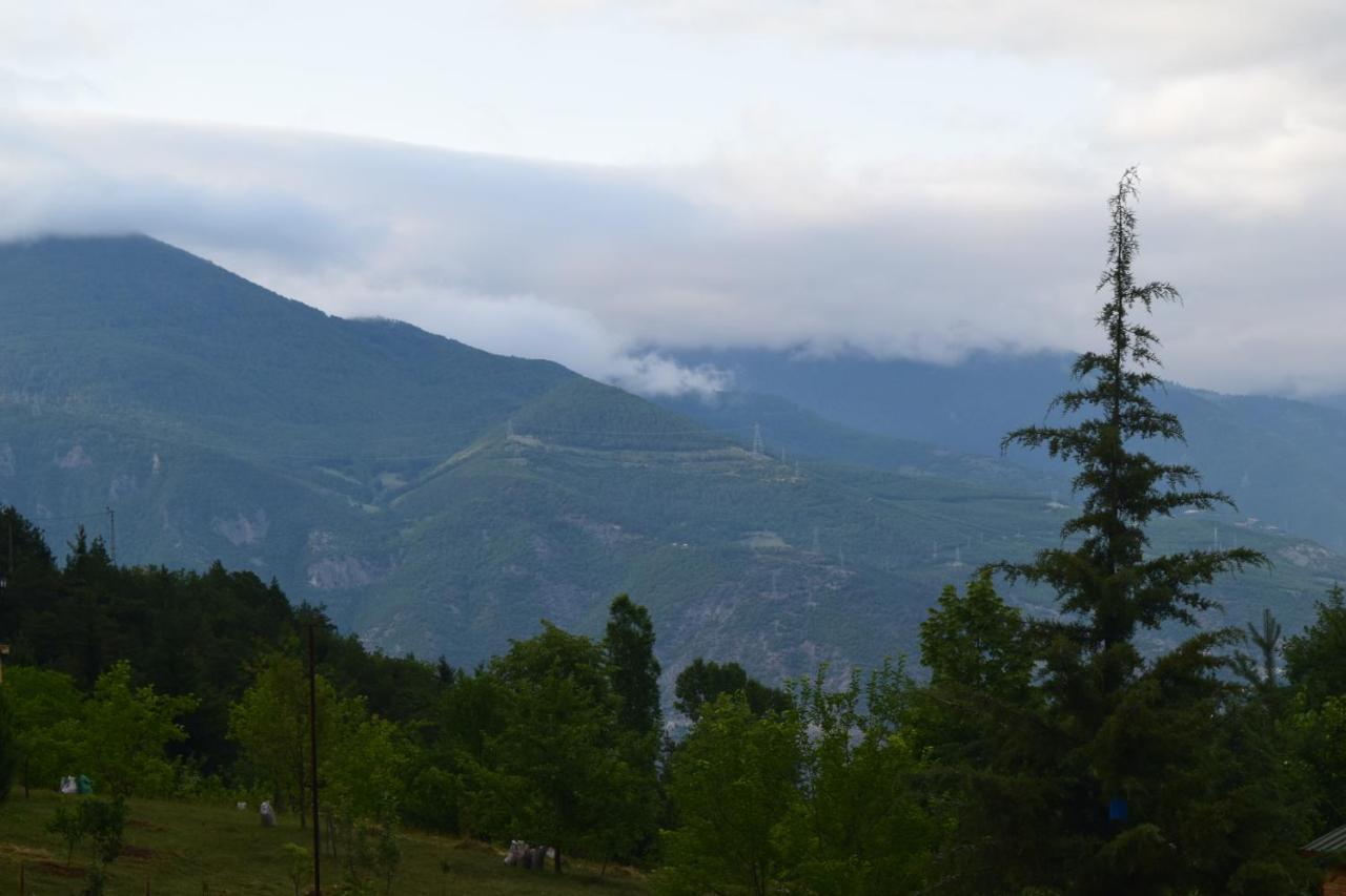 Mars Otel Artvin Exterior photo