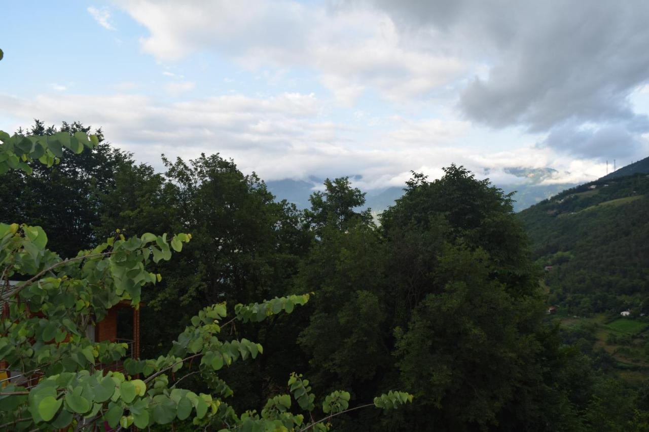 Mars Otel Artvin Exterior photo