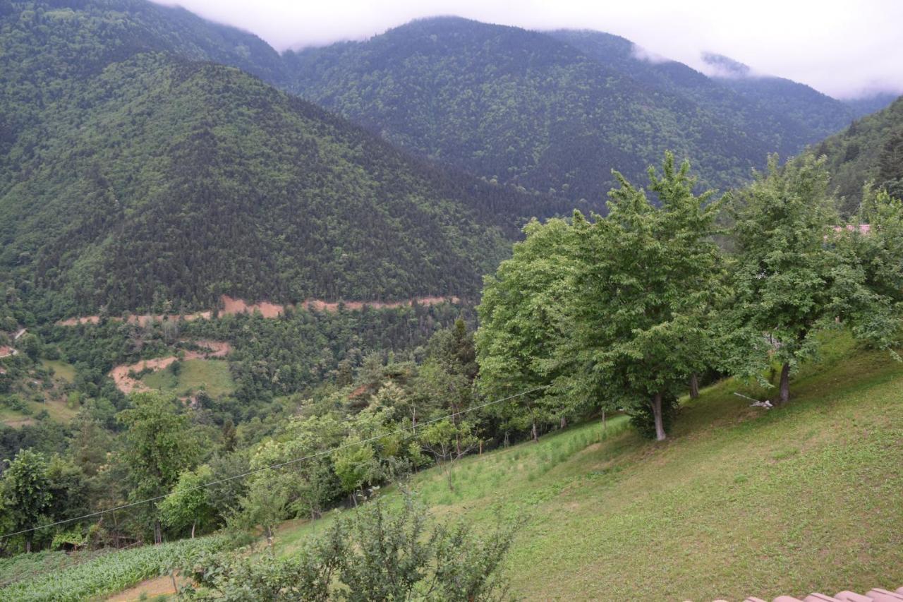 Mars Otel Artvin Exterior photo