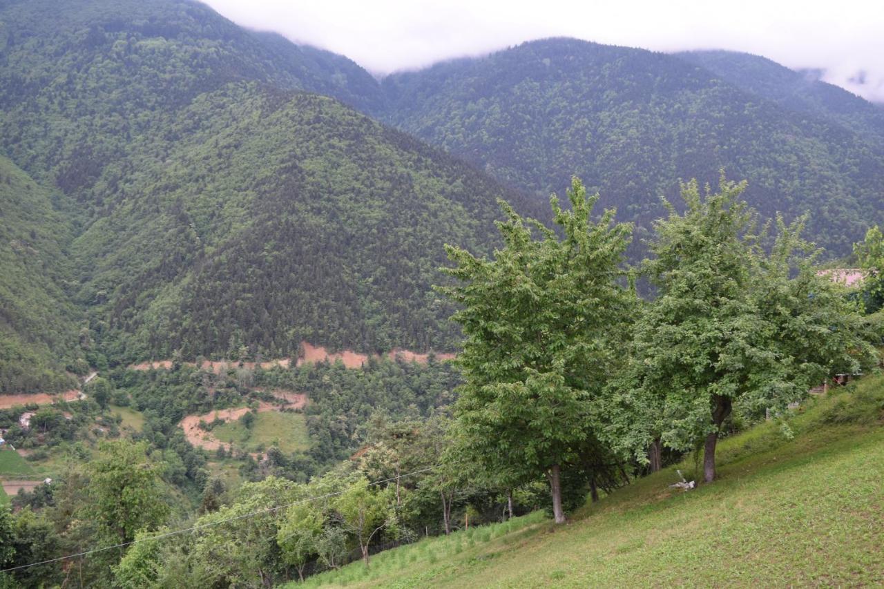 Mars Otel Artvin Exterior photo