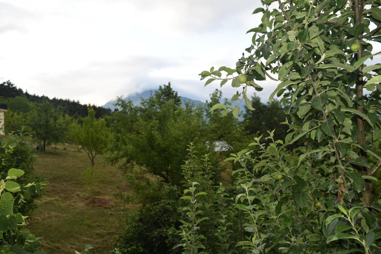 Mars Otel Artvin Exterior photo