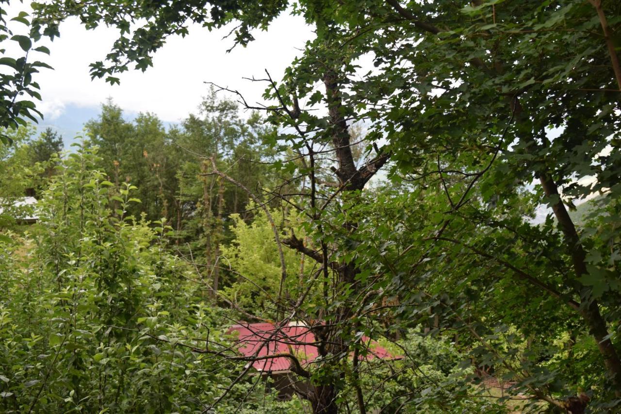 Mars Otel Artvin Exterior photo